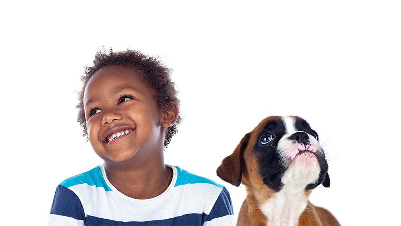 Benefits Of Pet Therapy For An Autistic Child